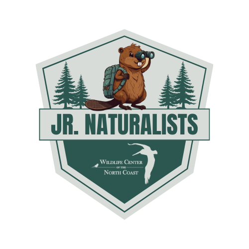 Jr. Naturalists Summer Camp - logo